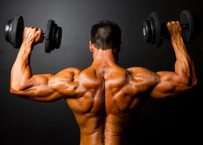 Entrenamiento de Hipertrofia